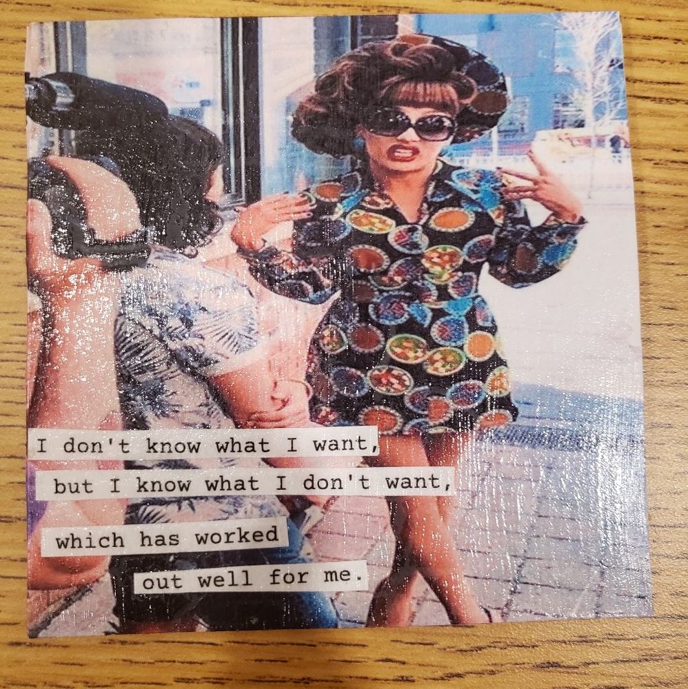 Rupaul's Drag Race, Bianca del Rio coaster